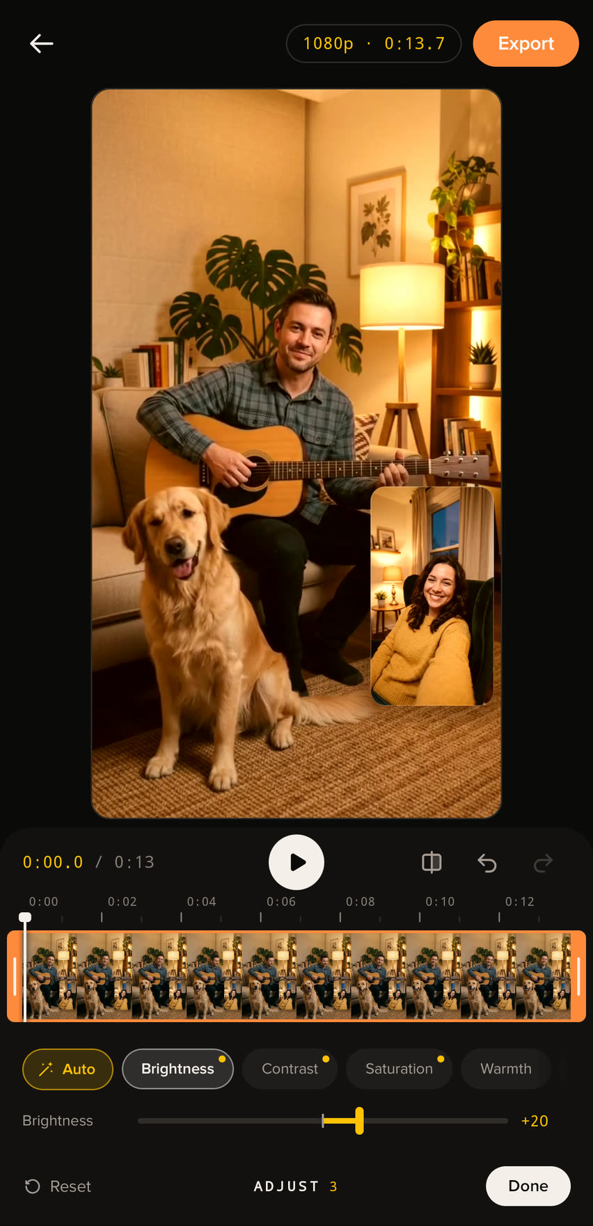 The Adjust tool with Auto on and brightness raised.